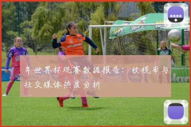 年世界杯观赛数据报告：收视率与社交媒体热度分析