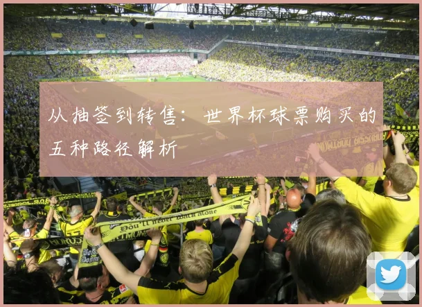 从抽签到转售：世界杯球票购买的五种路径解析