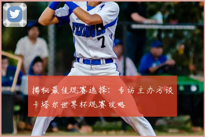 揭秘最佳观赛选择:专访主办方谈卡塔尔世界杯观赛攻略