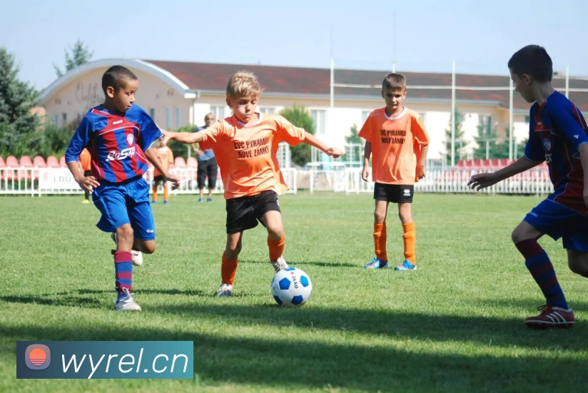 多媒体互动体验